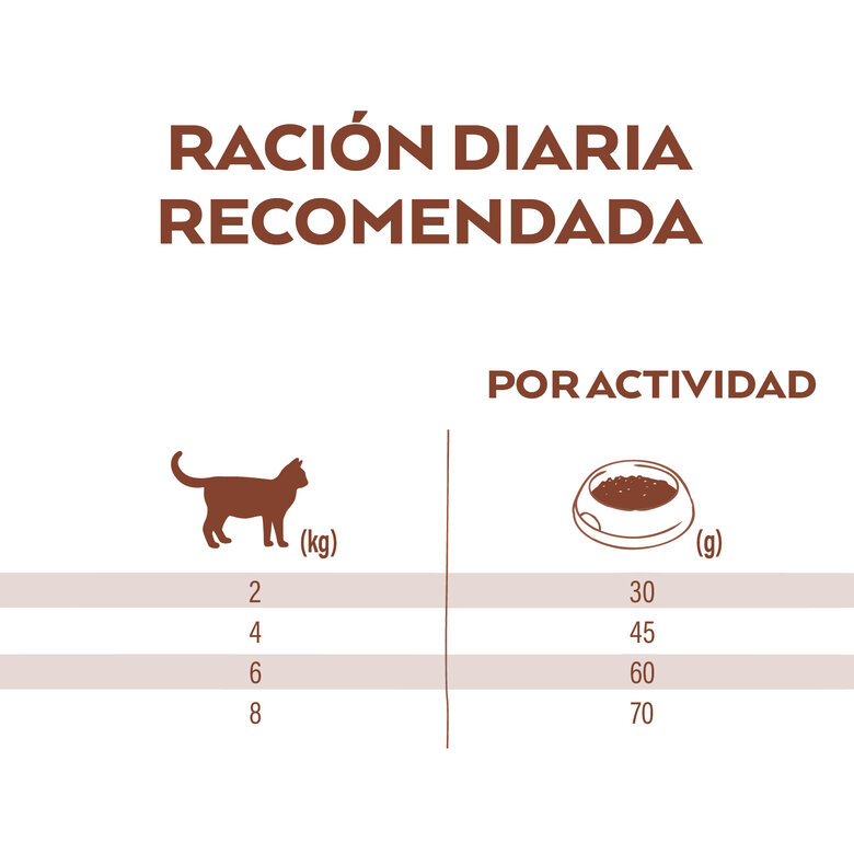 Nature's Variety Selected con salmón noruego para gato image number null